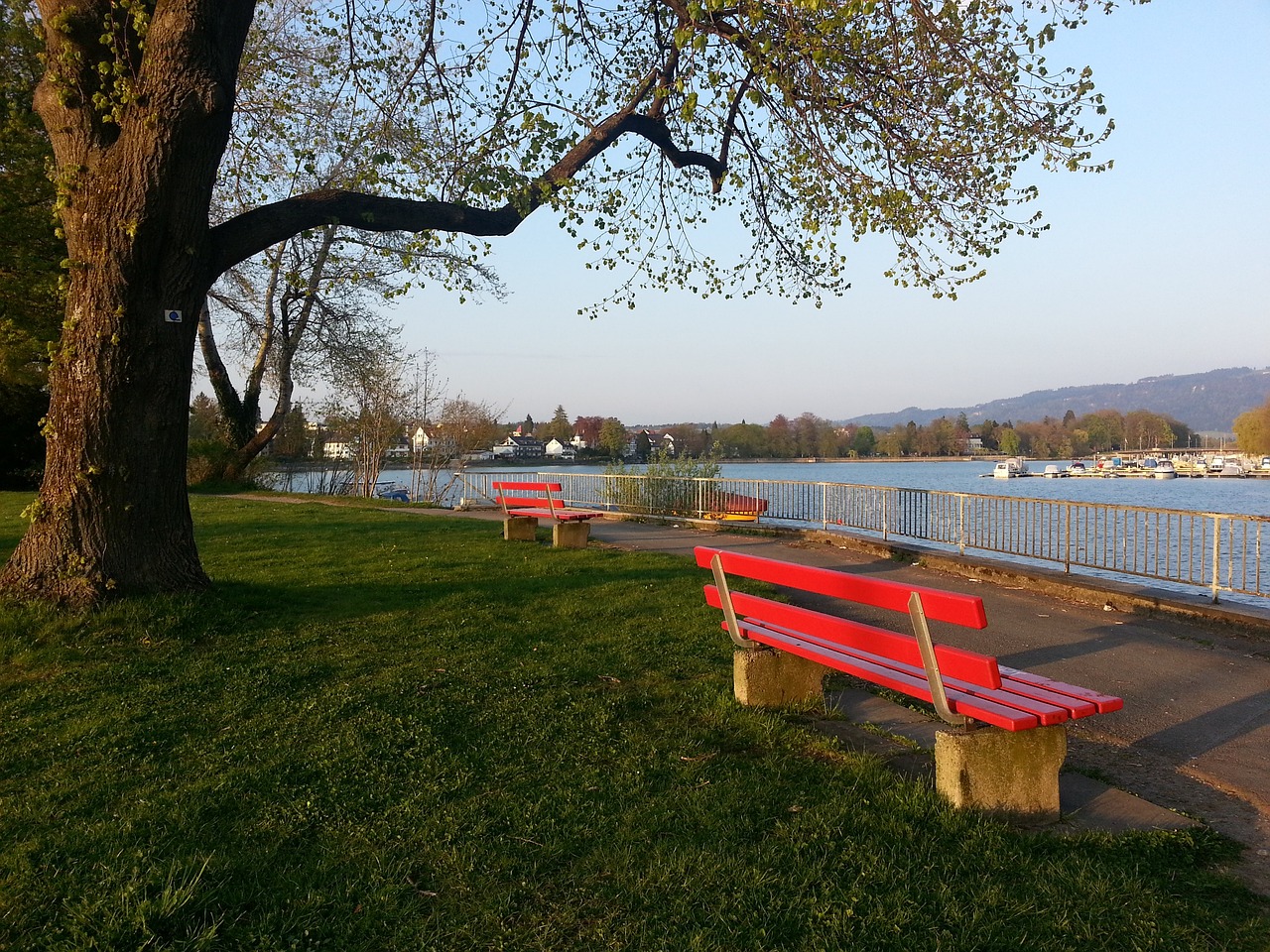 理论与实践 理论与实践