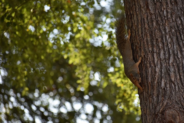 运动的焦点 运动的焦点