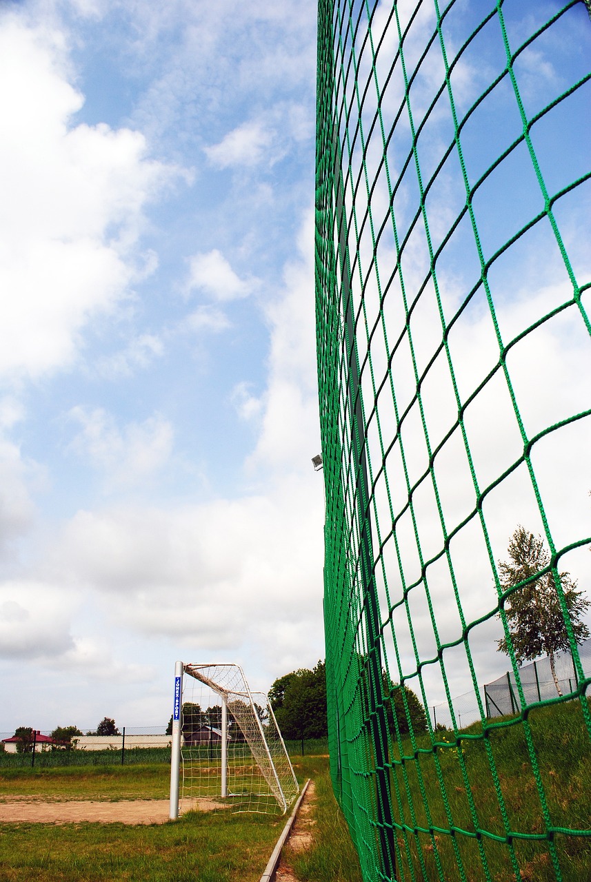 门数据上占 门数据上占