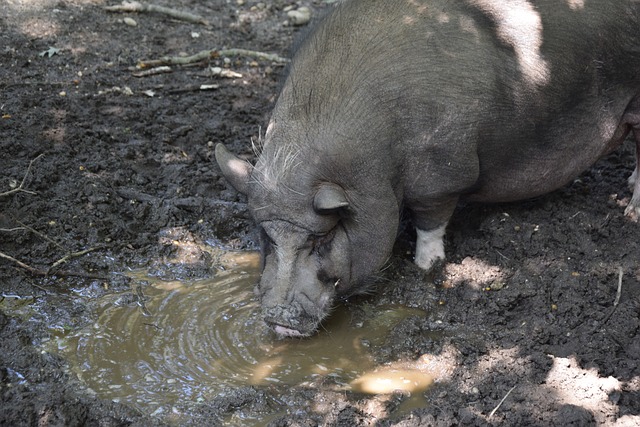 他用精准的 他用精准的
