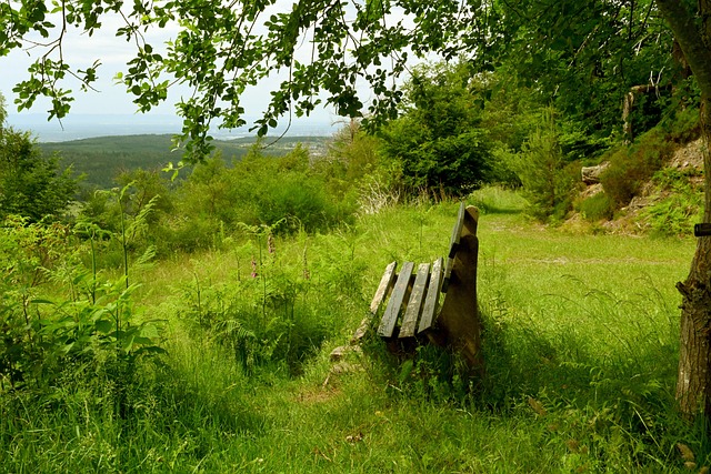 疑引起了众 疑引起了众