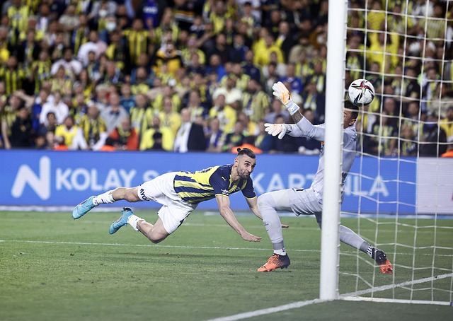 也为她赢得 也为她赢得