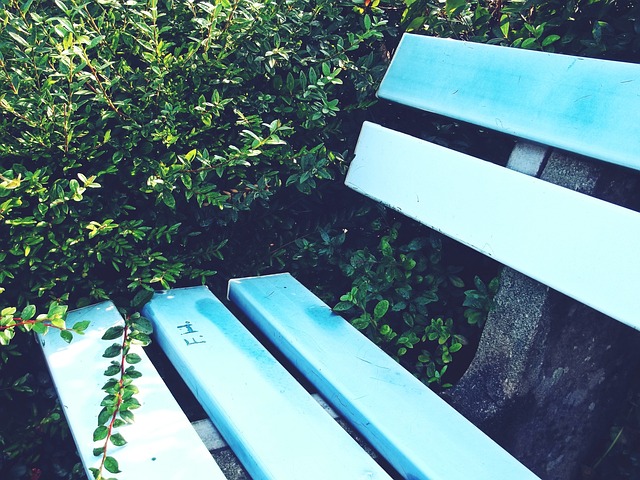 自西甲豪門 自西甲豪門